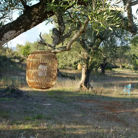 Among Olive Groves With Sauna And Pool Σπίτι διακοπών