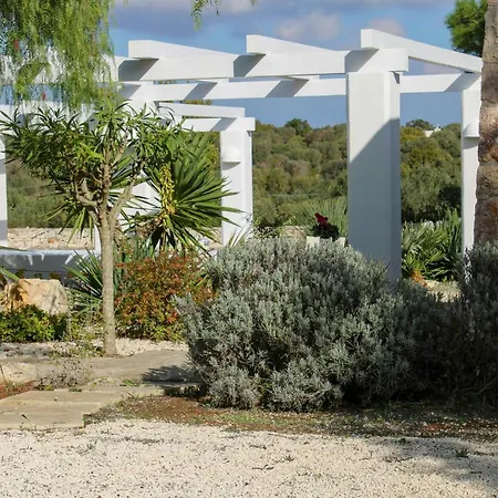 Σπίτι διακοπών Among Olive Groves With Sauna And Pool